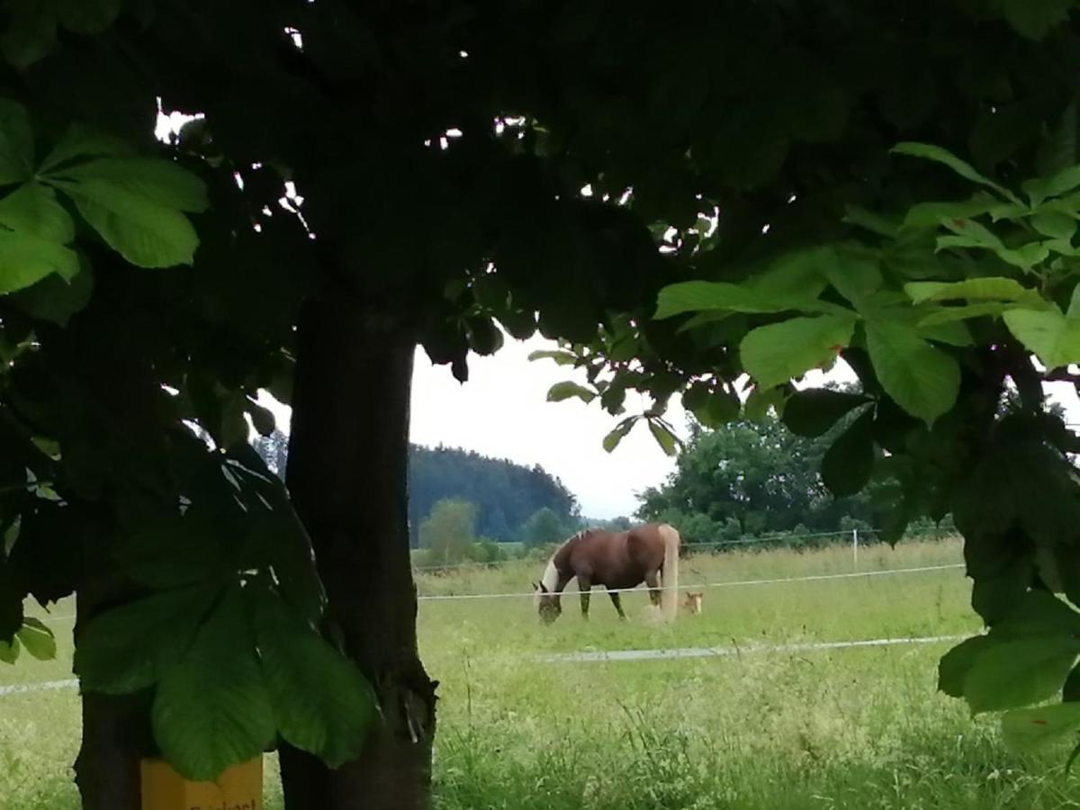 Waldheimat Villa Miltach Eksteriør bilde